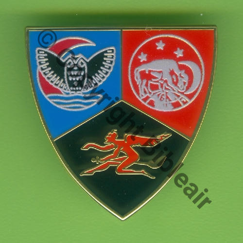 AQUIT A1489 2023 ESCADRON TRANSFO RAFALE 3.4 AQUITAINE SAINT DIZIER  SM 2Griffes Dos irreg scintillant SNH Src.Y.GENTY 17Eur(x11) 